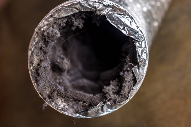 Best Ventilation Cleaning Services  in Pu, HI